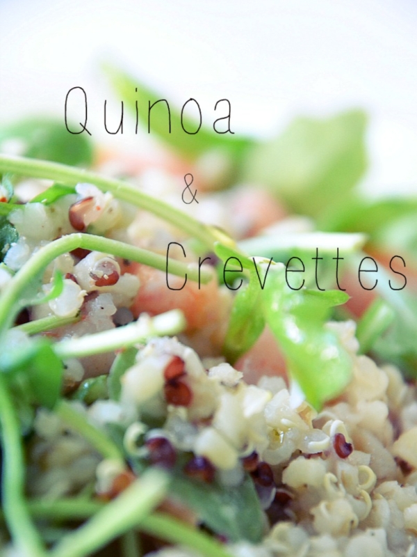 Recette: salade rapide et saine!