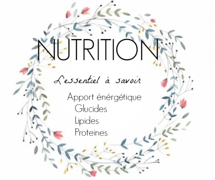 L’essentiel sur les Nutriments