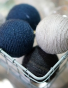 Cuisiner la Salicorne