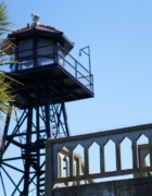 Red Perf & Heart Socks