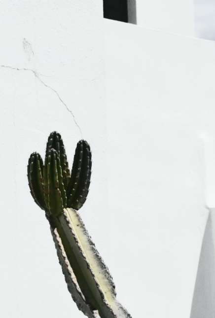 Dégueuli d&rsquo;intimité.