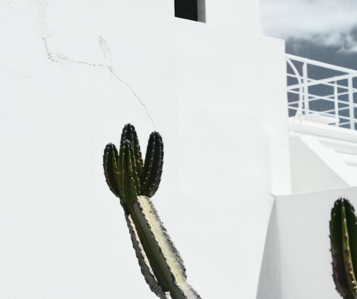 Dégueuli d’intimité.