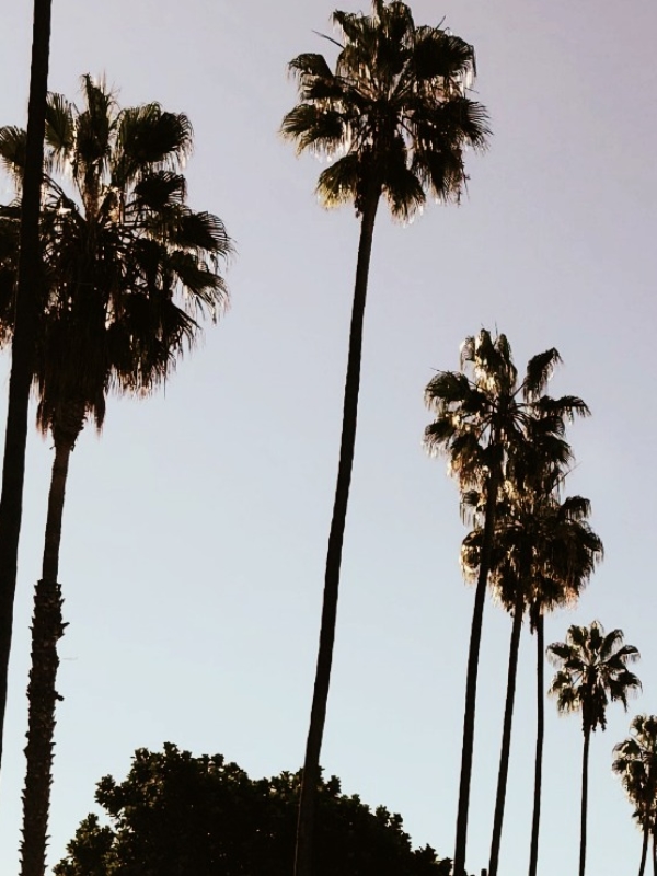Welcome in LA