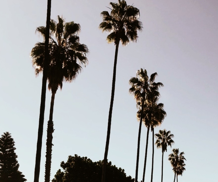 Welcome in LA