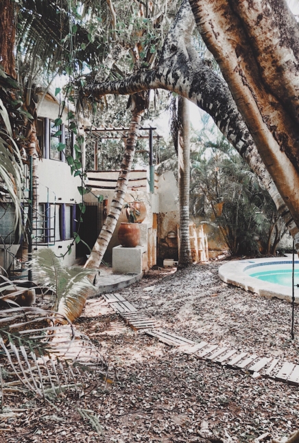 Carnet de Route – Mexique : Cancun