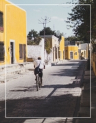 Quand vient la fin de l’hiver