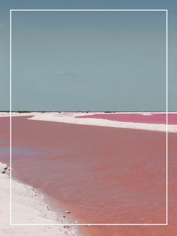 Rio Lagartos et Los Coloradas