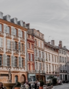 Velouté de fane de radis et céleris branche