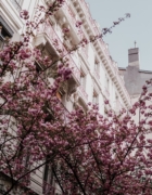 Prêt en 10 minutes: Salade kiwi, avocat et oca du Perou