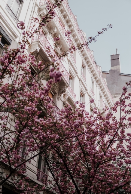 Lyon,  les quais du Polar