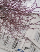 Prêt en 10 min: Spaghetti frais aux navets nouveaux