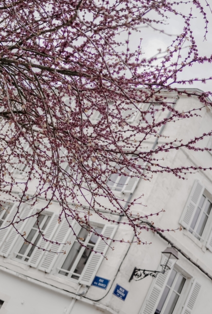 La Rochelle city guide