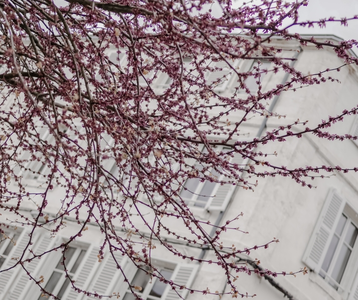 La Rochelle city guide