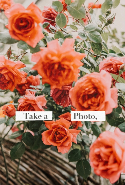 La rémunération sur Instagram: comment ca fonctionne?