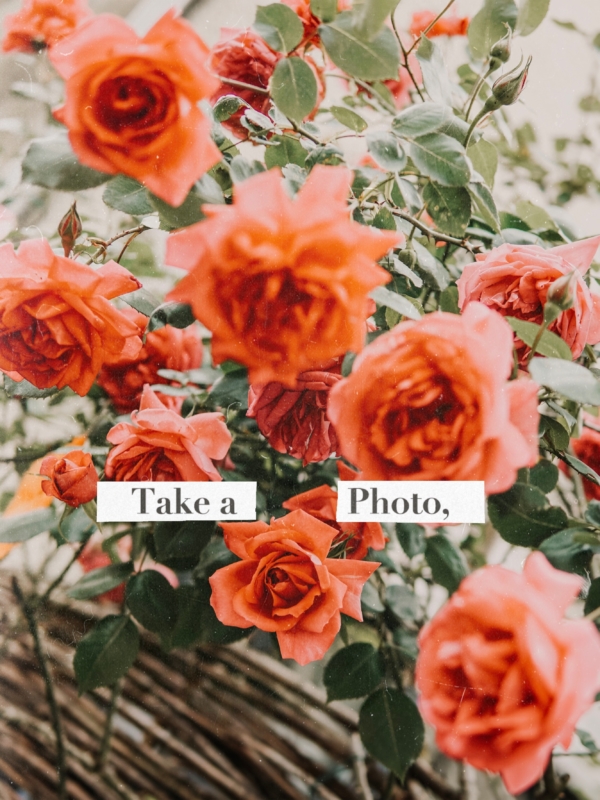 La rémunération sur Instagram: comment ca fonctionne?