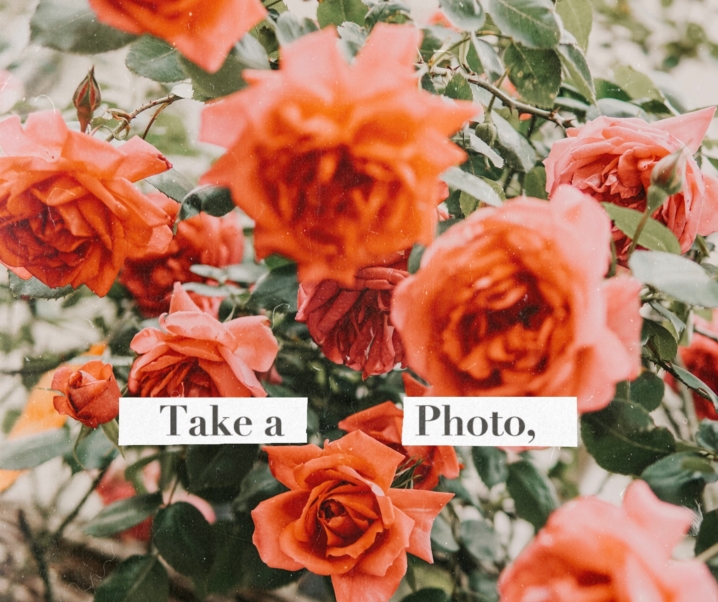 La rémunération sur Instagram: comment ca fonctionne?