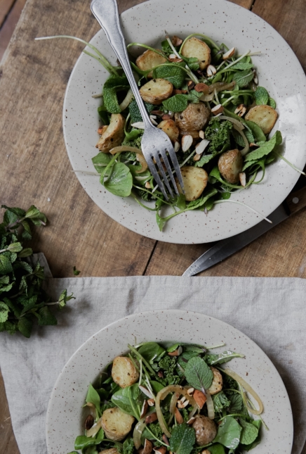 Salade pomme de terre/ pourpier et menthes
